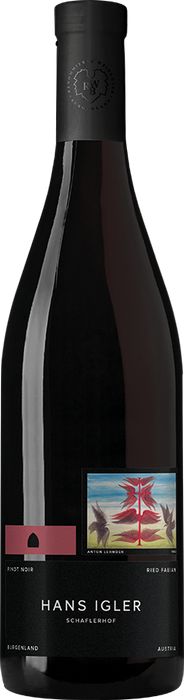 Pinot Noir Ried Fabian 2020 - Weingut Hans Igler, Deutschkreutz