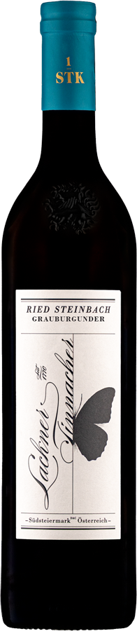 Grauburgunder Ried Steinbach 1STK Südsteiermark DAC 2022 - LacknerTinnacher, Gamlitz