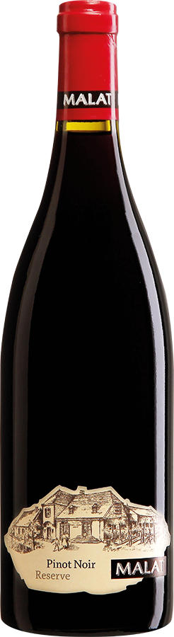 Ried Satzen Pinot Noir 2021 - Weingut Malat, Palt/Krems