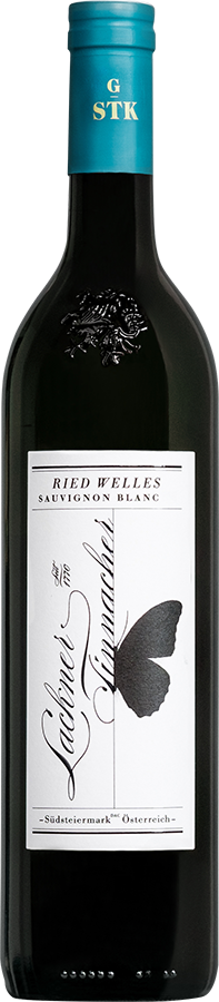 Sauvignon Blanc Ried Welles GSTK Südsteiermark DAC 2021 - LacknerTinnacher, Gamlitz