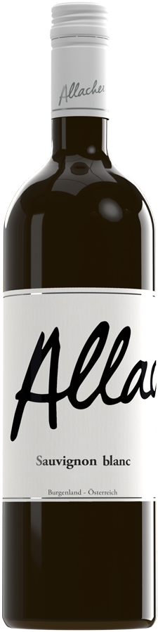 Sauvignon Blanc 2023 - Allacher Vinum Pannonia, Gols