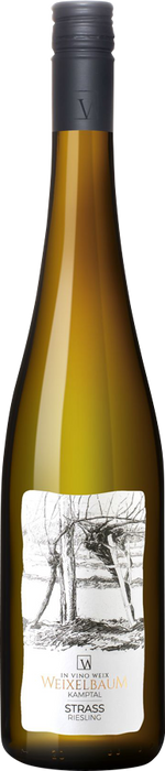 Strass Riesling Kamptal DAC 2023 - Weingut Weixelbaum, Strass