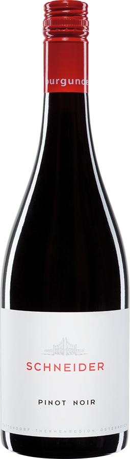 Pinot Noir 2023 - Weingut Georg Schneider, Tattendorf