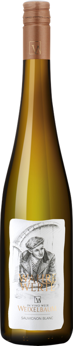 Sauvignon Blanc Wahre Werte 2023 - Weingut Weixelbaum, Strass