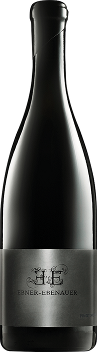 Pinot Noir Black Edition 2019 - Weingut Ebner-Ebenauer, Poysdorf