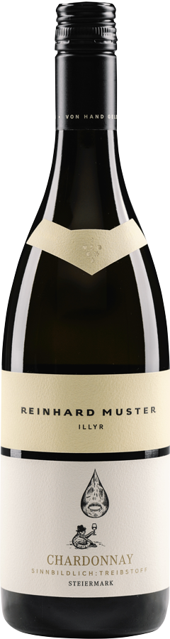 Chardonnay Illyr Südsteiermark DAC 2021 - Weingut Muster, Gamlitz