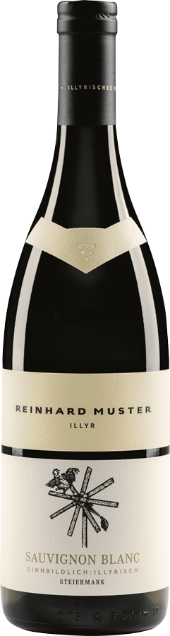 Sauvignon Blanc Illyr 2022 - Weingut Muster, Gamlitz