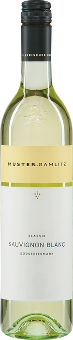 Sauvignon Blanc Styria 2023 - Weingut Muster, Gamlitz