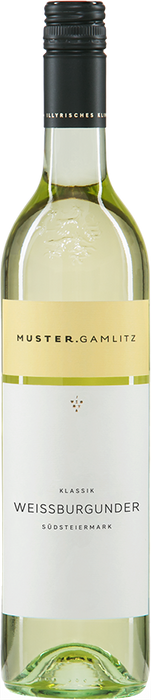 Weissburgunder Styria 2023 - Weingut Muster, Gamlitz