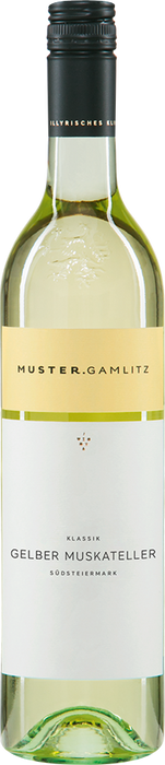 Gelber Muskateller Styria 2023 - Weingut Muster, Gamlitz
