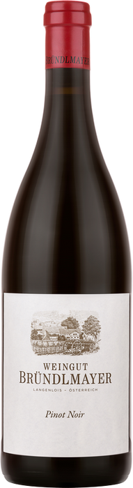 Pinot Noir (Blauburgunder) 2019 - Weingut Bründlmayer, Langenlois