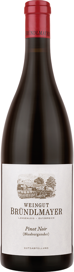 Pinot Noir (Blauburgunder) 2019 - Weingut Bründlmayer, Langenlois