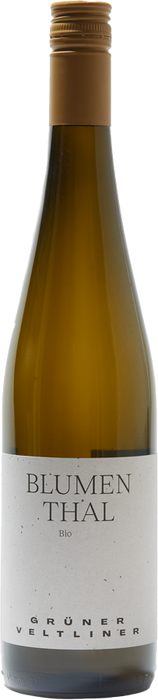 Grüner Veltliner Blumenthal 2023 - Weingut Schödl, Loidesthal