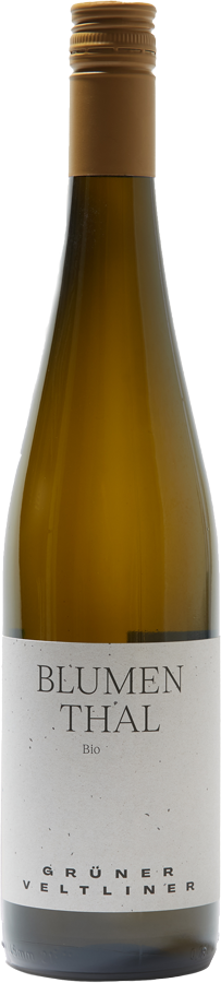 Grüner Veltliner Blumenthal 2023 - Weingut Schödl, Loidesthal