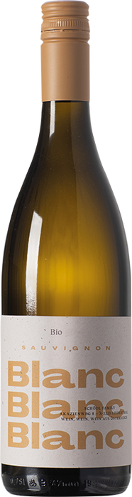 Sauvignon Blanc 2020 - Weingut Schödl, Loidesthal