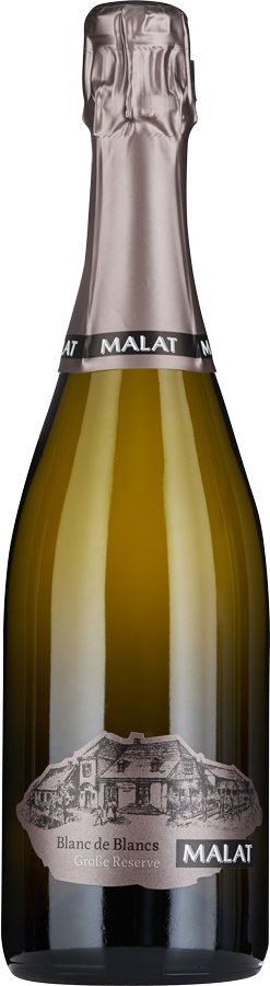 Blanc de Blancs Sekt Austria Gr. Res. NÖ gU Furth/Göttweig 2018 - Weingut Malat, Palt/Krems