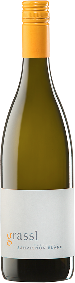 Sauvignon Blanc 2023 - Weingut Philipp Grassl, Göttlesbrunn