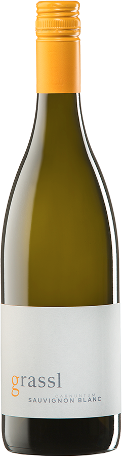 Sauvignon Blanc 2024 - Weingut Philipp Grassl, Göttlesbrunn