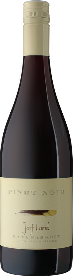 Pinot Noir 2021 - Weingut Zur Dankbarkeit, Podersdorf