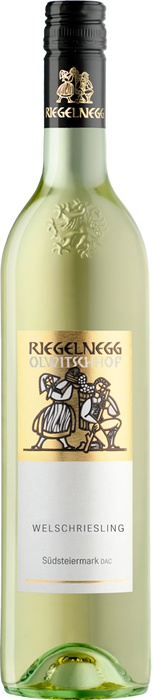 Welschriesling 2024 - 