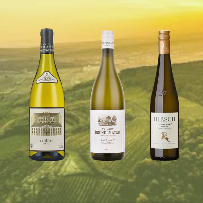 Probierpaket "Die Macht des Lamm" 3x2 Flaschen